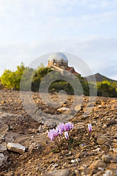 The ruins of Ekklisia Agios Ioannis Prodromos