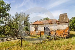 Ruins of a Farm house and cork tree in Santiago do Cacem photo