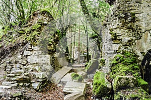 Ruins in the forest