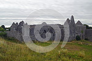 Ruins of the former Franciscan Monastery  Askeaton at the River Deel