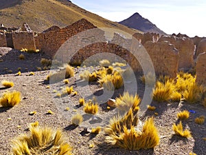 Ruins of a former mining town Pueblo Fantasma photo