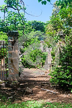 Ruins of a former penal colony at Ile Royale