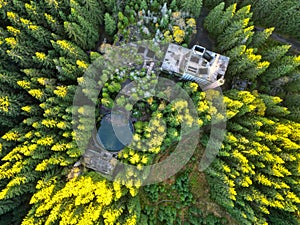 Ruins of former tin mine in the forest from above