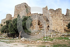 Ruins of fortress