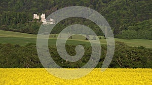 Blatnica castle in National park Velka Fatra, Turiec  region, Slovakia