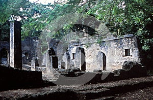 Ruins Great Mosque ruins Gedi, Gede, Malindi, Kenya