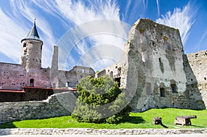 Ruins of Haapsalu Episcopal Castle and cannons photo