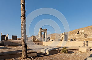 Ruins of Hall of 100 Columns viewed from Queen's Quarters in Persepolis