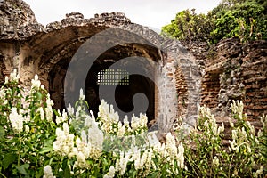 Ruins in Hermano Pedro with garden, Antigua, Guatemala photo