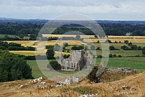 Ruins of Hore Abbey