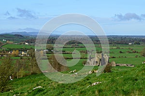 Ruins of Hore Abbey in a Lush Field