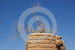 Ruins of the house in arab village close Najran, Asir region, Saudi Arabia