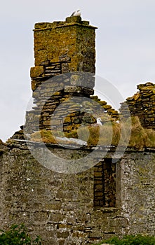 Ruins of a House and Chimney, Island of Stoma, Caithness, Scotland, U.K.