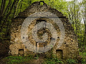 The ruins of house in the forest, the walls of the old building