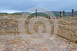 Ruins of the House of the Labors of Hercules in Volubilis in Meknes, Morocco