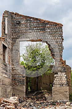 The ruins of the houses. Brick walls. Thickets on the ruins