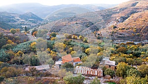 Ruins of the houses and overgrown garden in abandoned traditional village in Cyprus