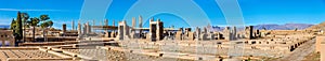 Ruins of Imperial Treasury at Persepolis, Iran photo