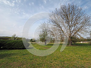 Ruins of Industria in Monteu Da Po photo