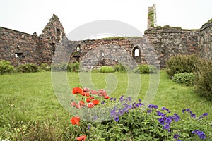 Ruins Iona Nunnery photo