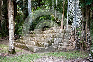 Ruins of kohunlich