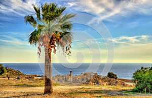 Ruins of Kourion, an ancient city in Cyprus