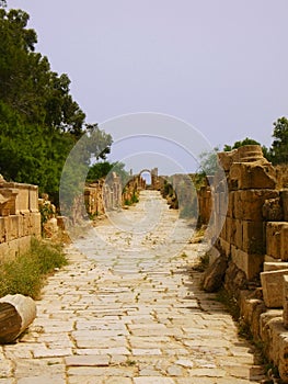 Ruins of Leptis Magna, Libya - Roman Road