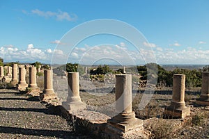 Ruins of Lixus