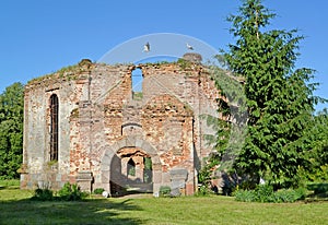 Ruins of Lutheran church Lyappinen`s Alto 1703 in summer day. Settlement Big Banks, Kaliningrad region