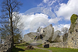 Ruins of the LÃ¶wenburg in Siebengebirge next to Bonn