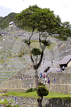 Ruins at Machu Picchu  835061