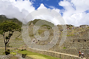 Ruins at Machu Picchu  835067