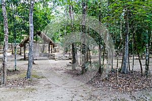 Ruins of the Mayan city Coba, Mexi