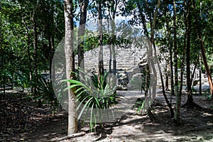 De maya la ciudad México 