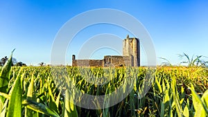 Ruins of medieval Baldungan Castle and church, Skerries, Irelad