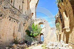 Ruins of medieval Bellapais Abbey in Turkish Northern Cyprus taken on a sunny day with blue sky. The historical Cypriot monastery