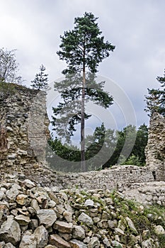 Ruins of the medieval castle