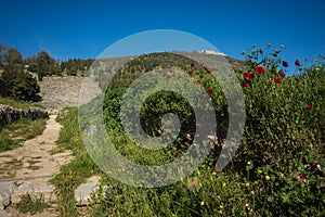 Ruins of medieval castle in Argos on Peloponnese in Greece