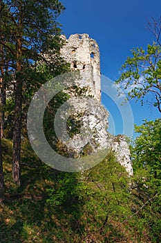 Ruins of medieval castle Uhrovec