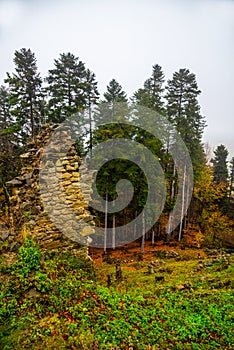 Ruins of medieval castle Zborov, Slovakia