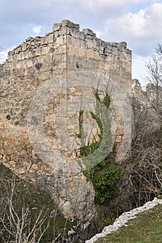 Ruins of a medieval fortress tower, entwined with ivy