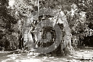 Ruins of a medieval house in the rainforest. Ancient ruins in the jungle of Cambodia