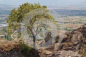 Ruins of the medieval Markovi Kuli castle