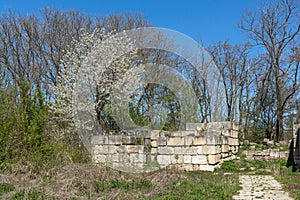 Ruins of medieval stronghold Pliska, Bulgaria