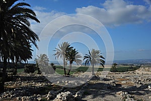 Ruins of Megiddo