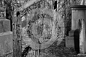 Ruins of metal gateposts in overgrown cemetery