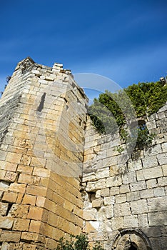 Ruins of the Monastery of Bonaval photo