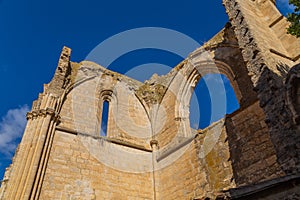 Ruins of the monastery of San Anton