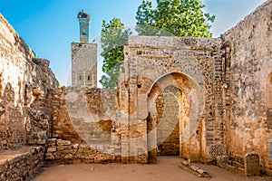 In the ruins of mosque in ancient Chellah near Rabat ,Morocco