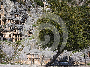 Ruins of Myra Ancient City and big fruit tree in Demre, Turkey. Ancient rock tombs in Lycia region